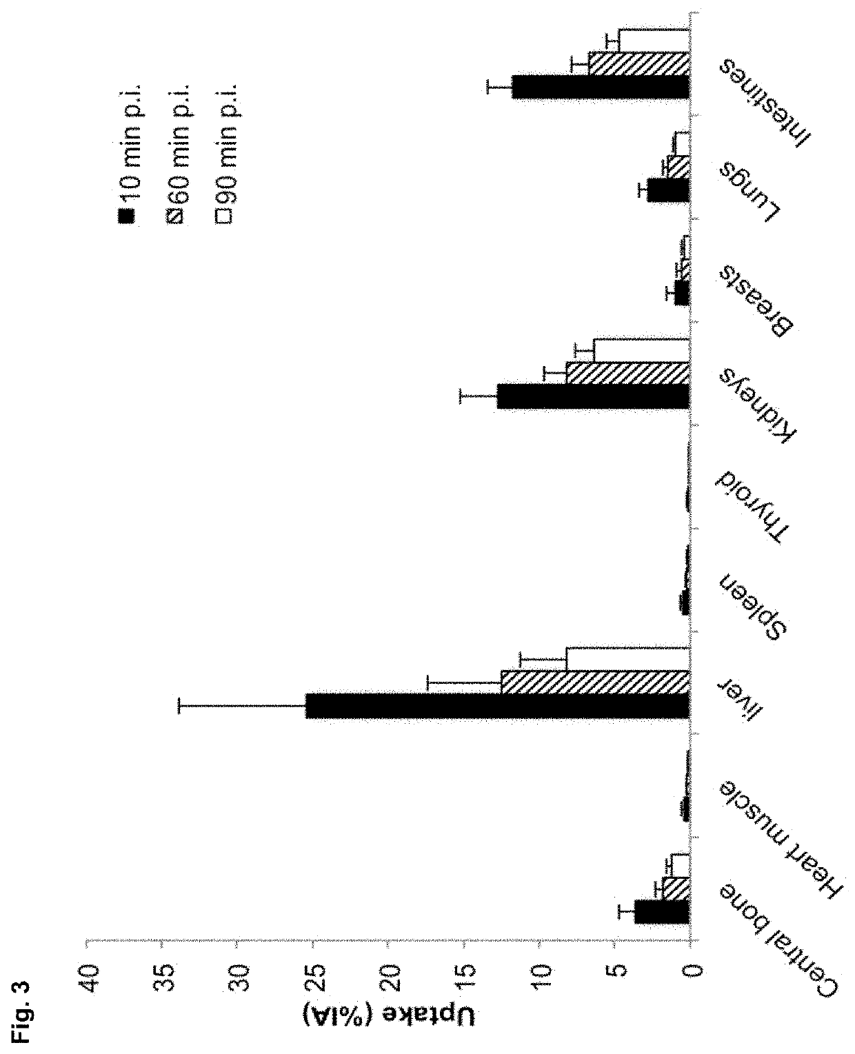 Radio-labelled antibody fragments for use in the prognosis, diagnosis of cancer as well as for the prediction of cancer therapy response