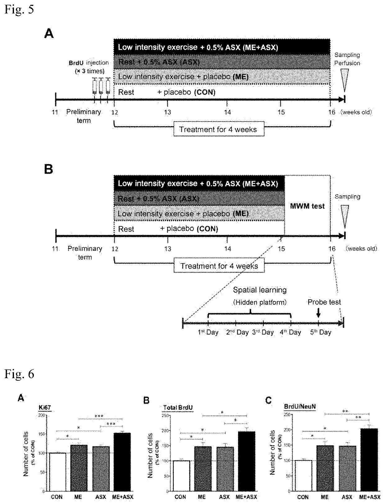 Carotenoid-containing cognitive function improving composition for use in exercise therapy for improving cognitive function