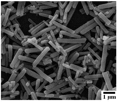 Mesoporous silver carbonate nanorod visible light photocatalyst and preparation method thereof