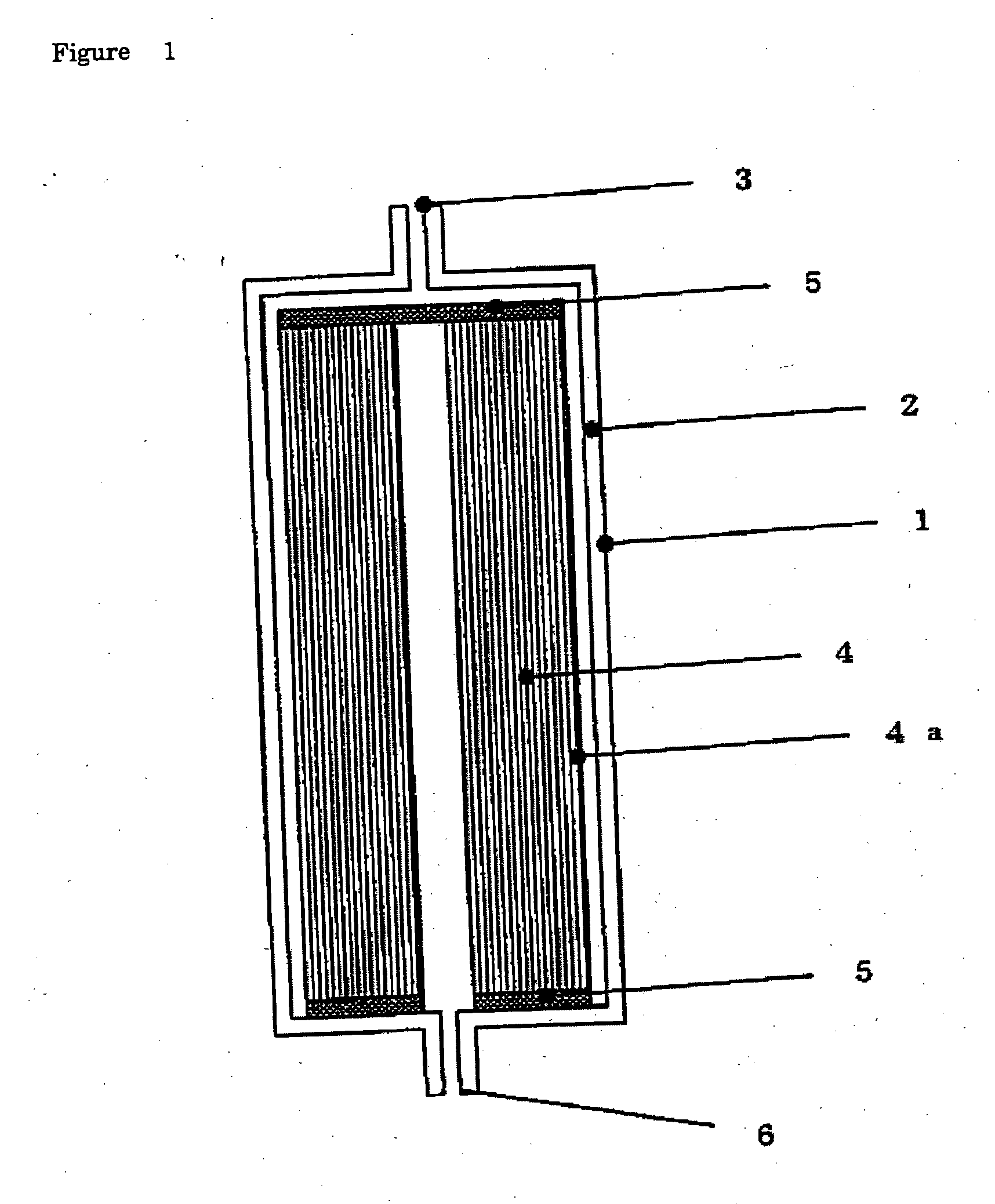 Biocompatible polymer and filter for selectively eliminating leucocytes using the same