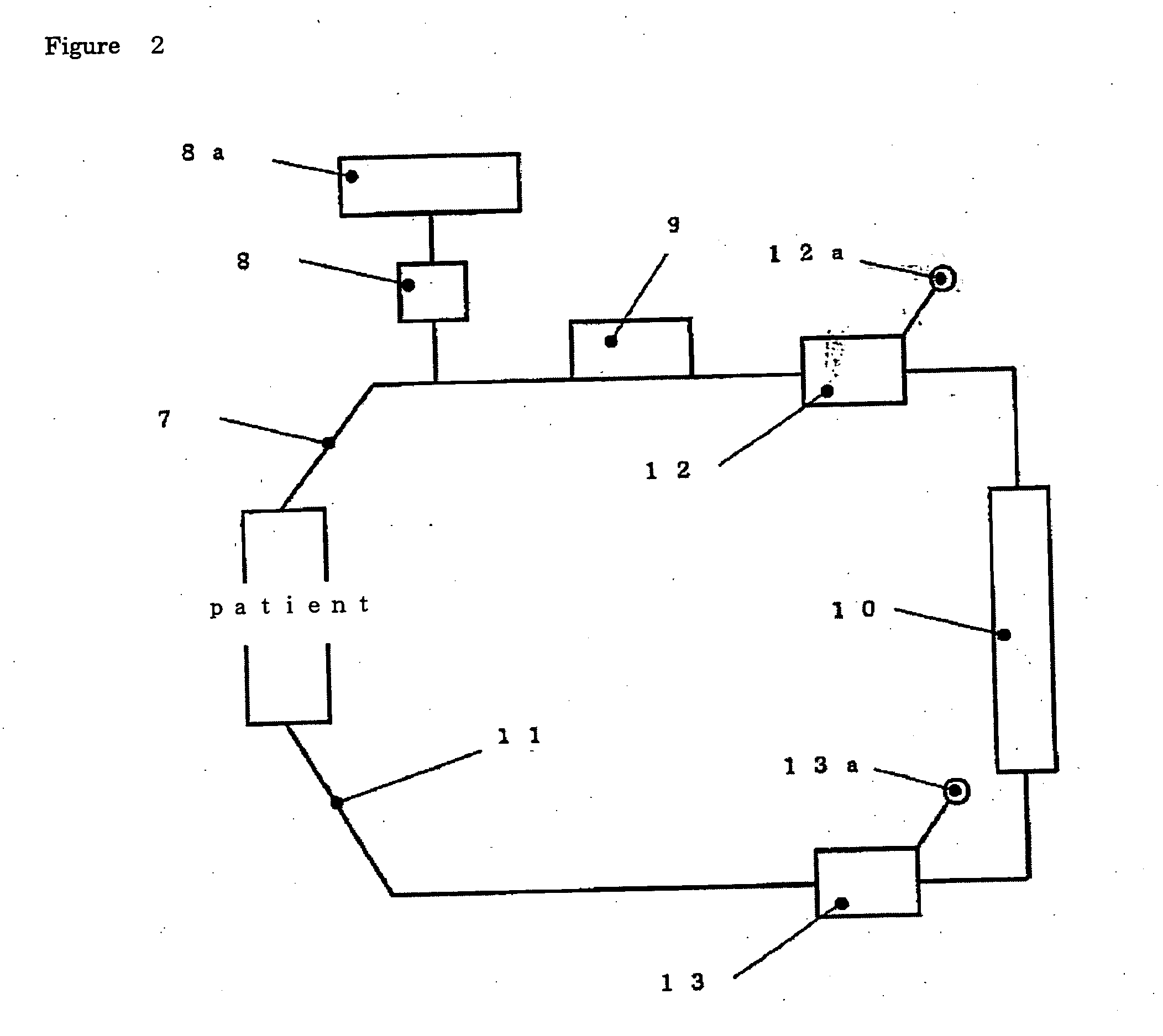 Biocompatible polymer and filter for selectively eliminating leucocytes using the same