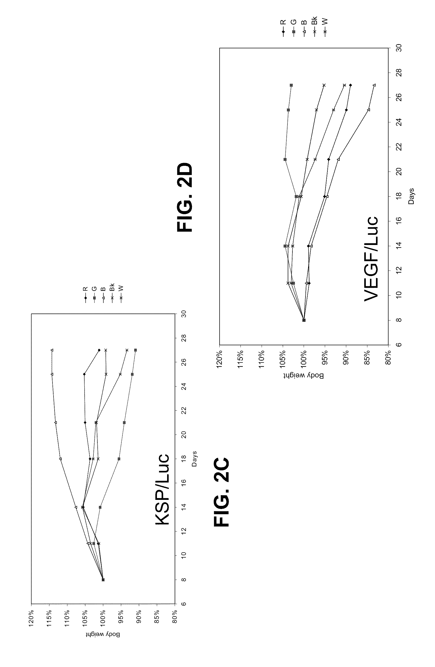 Compositions and Methods for Inhibiting Expression of Eg5 and VEGF Genes