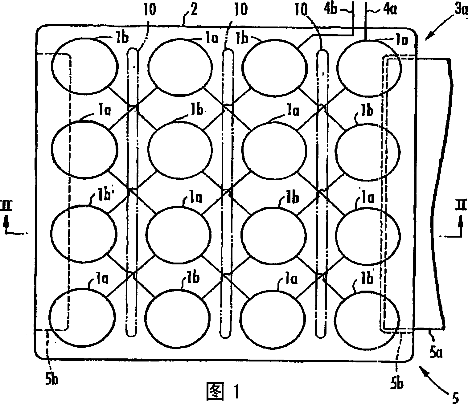 Ultrasonic irradiation apparatus