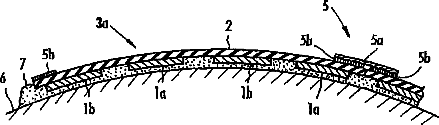 Ultrasonic irradiation apparatus