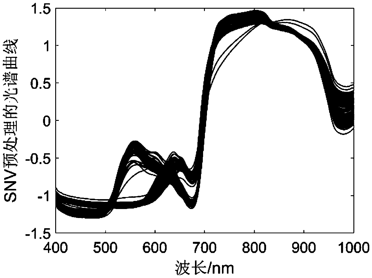 Plum soluble solid content value detection method based on hyperspectral imaging system