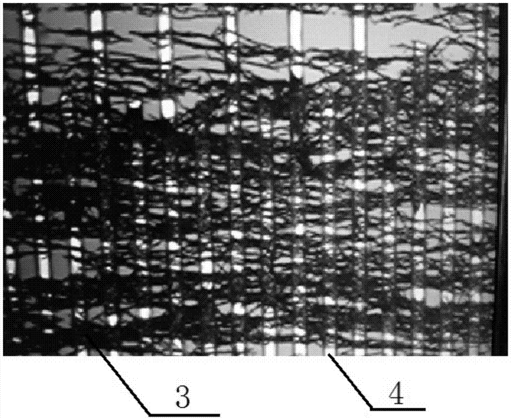 NiO nanowire ultraviolet light detector and preparation method and application thereof