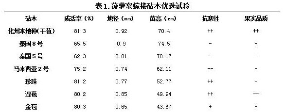 Seedling-raising grafting rootstock optimization and planting method for improving quality of jackfruit