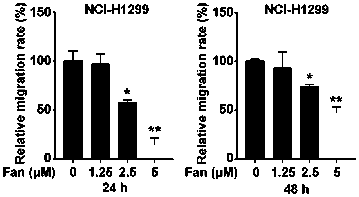 Application of fangchinoline in preparation of drugs for inhibiting metastasis of lung cancer