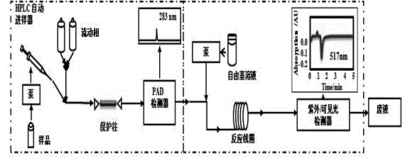 Method of on-line quickly detecting total anti-oxidizing property of sample