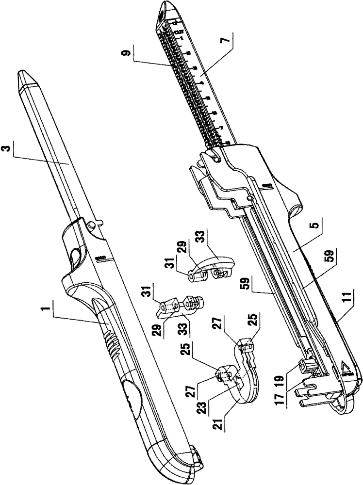 Linear suturing and cutting device