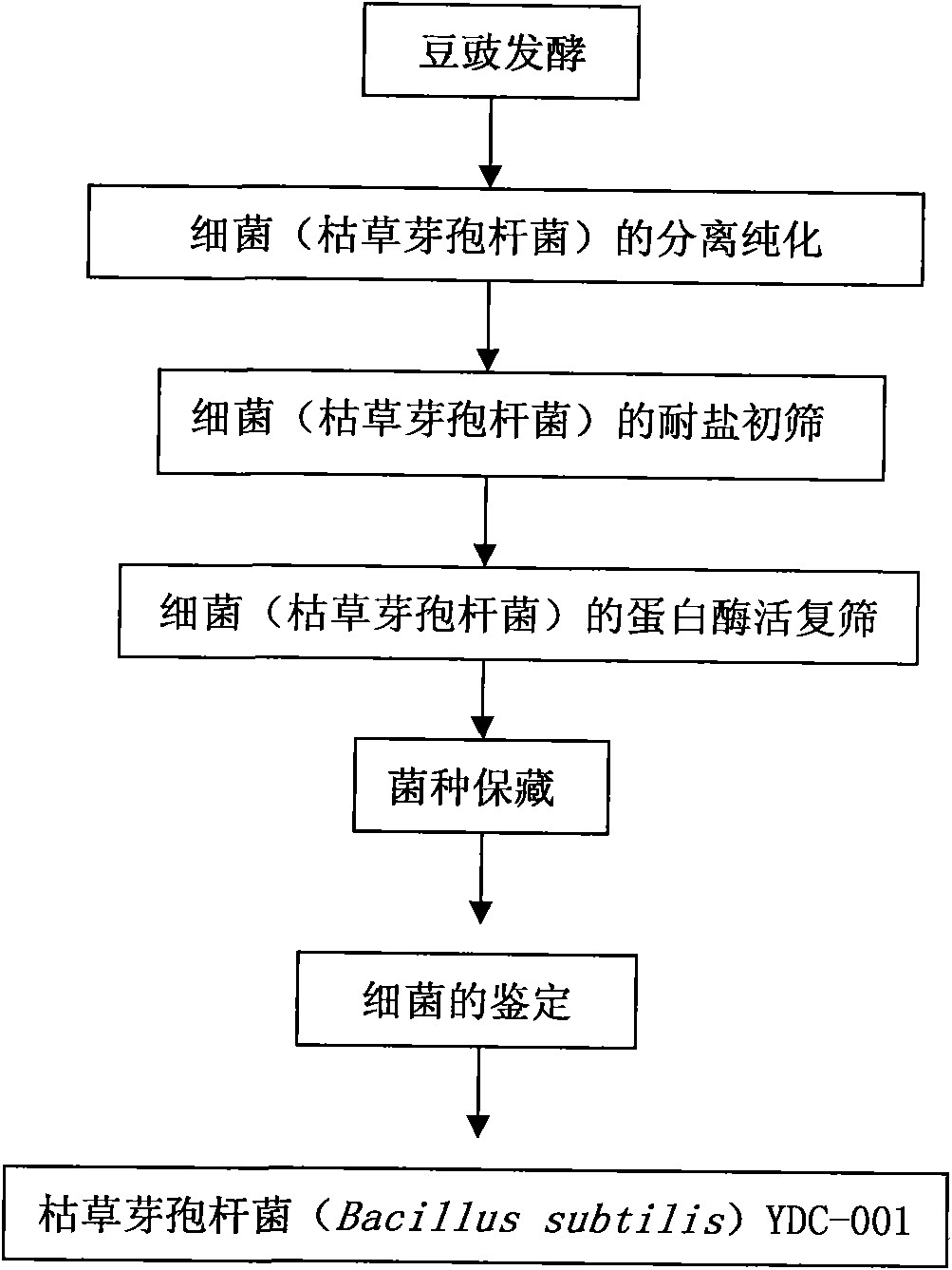 Strain for fermenting soybeans, fermentation agent containing same and use of same