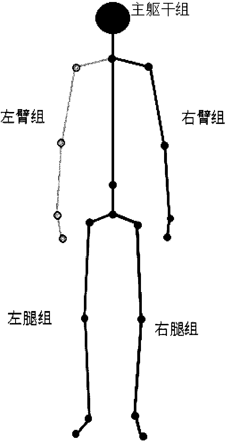 Human body action identification method for motion information imaging