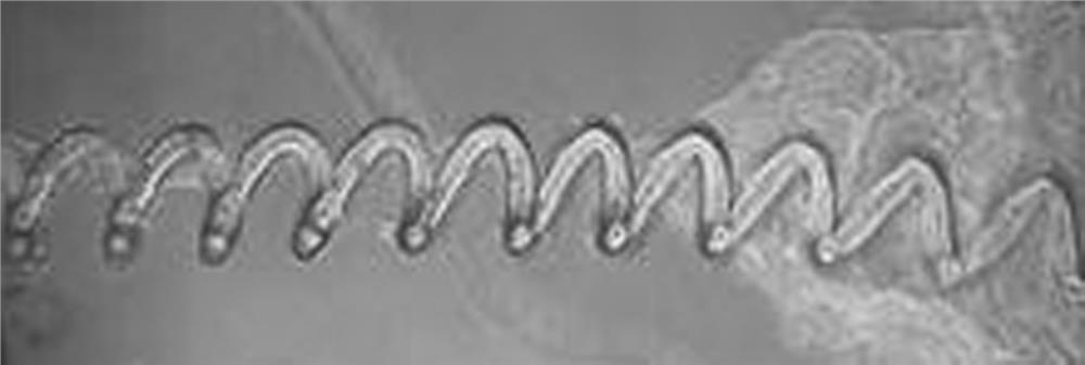 High-softness, high-toughness and cracking-resistant sheath material and preparation method thereof