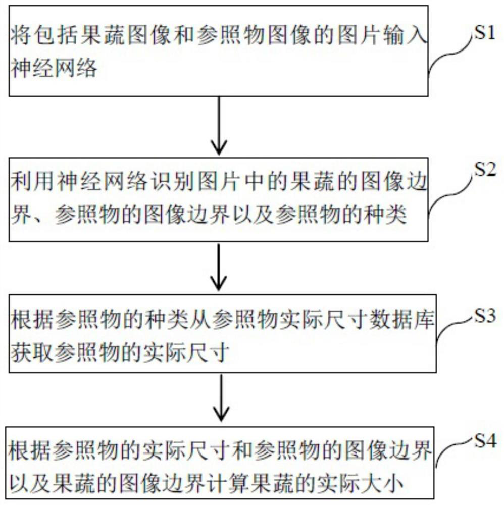 Fruit and vegetable size identification method and device, electronic equipment and computer readable medium