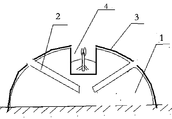 Method for preventing runt seedlings in root extending period of ridged mulching film tobaccos