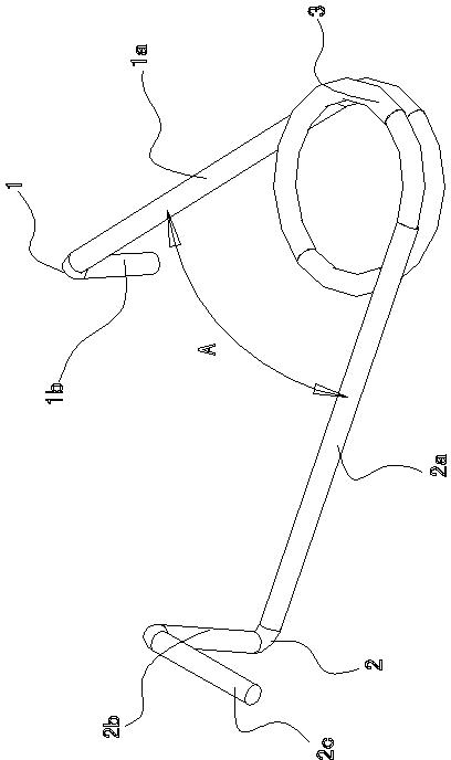 Correction device for anteverted impactedmolar