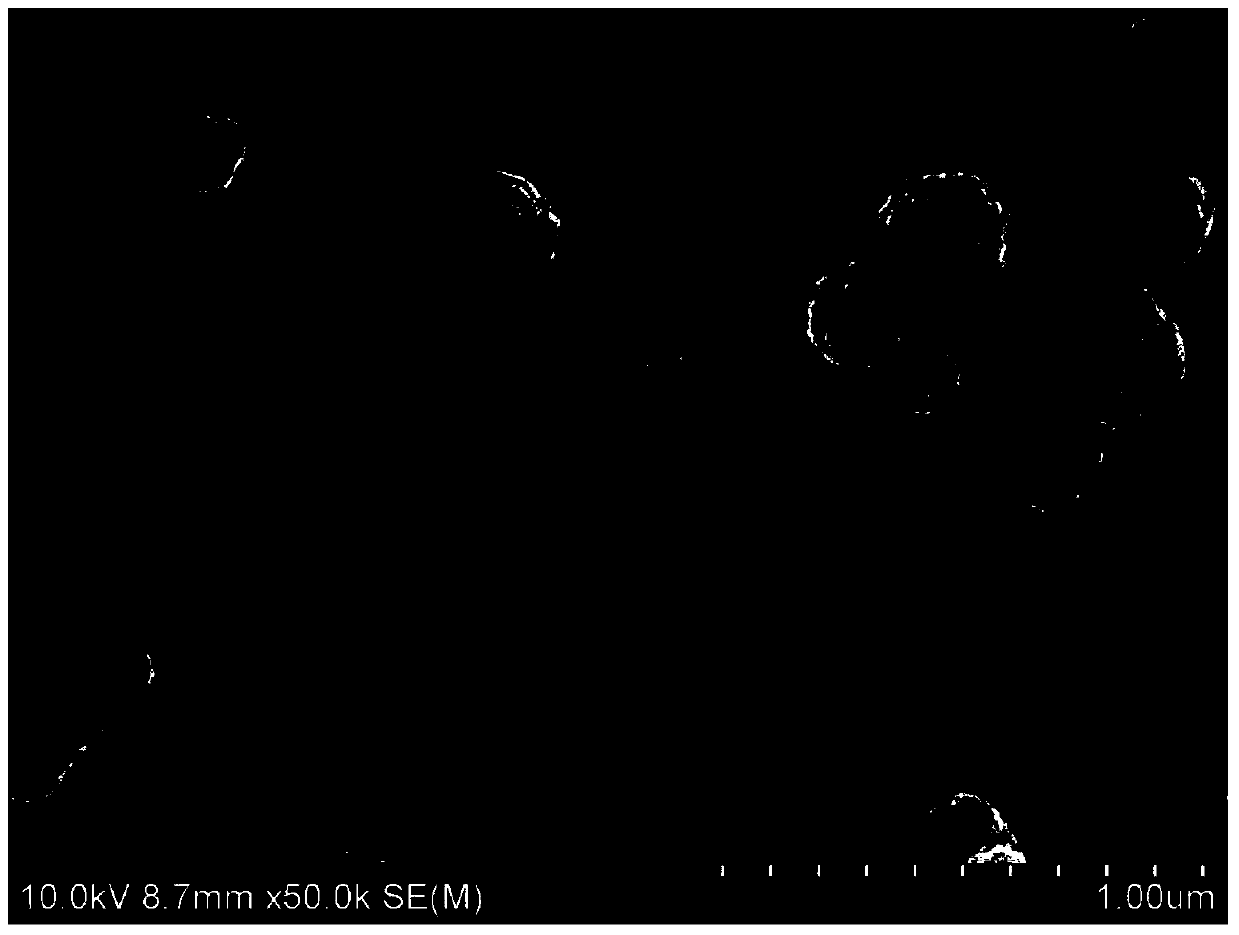 A method for detecting small molecule metabolites in exosomes using mass spectrometry