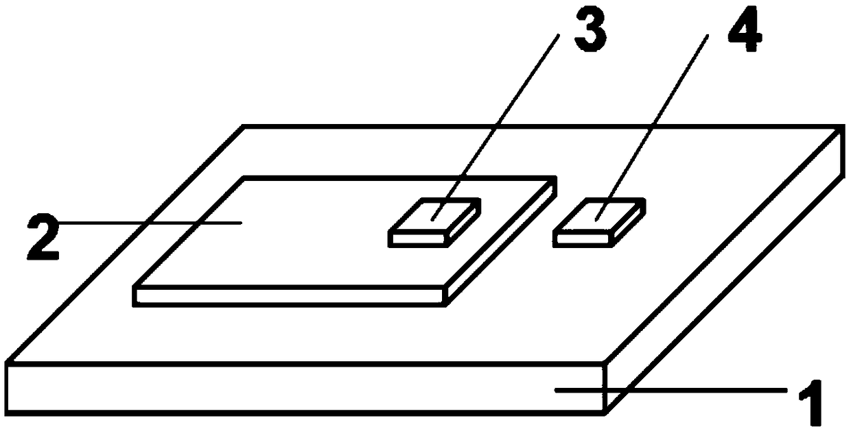 II-type heterojunction near-infrared photoelectric detector based on two-dimensional molybdenum disulfide nano film and cadmium telluride crystal, and preparation method thereof