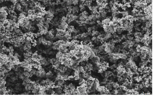 Ternary positive electrode material of high-capacity lithium ion battery and preparation method thereof