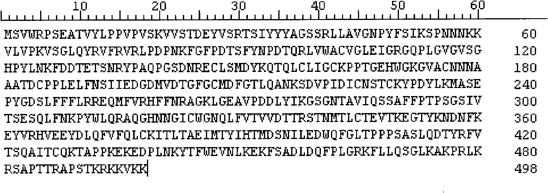 HPV58 L1 gene, vector, strain and expression method