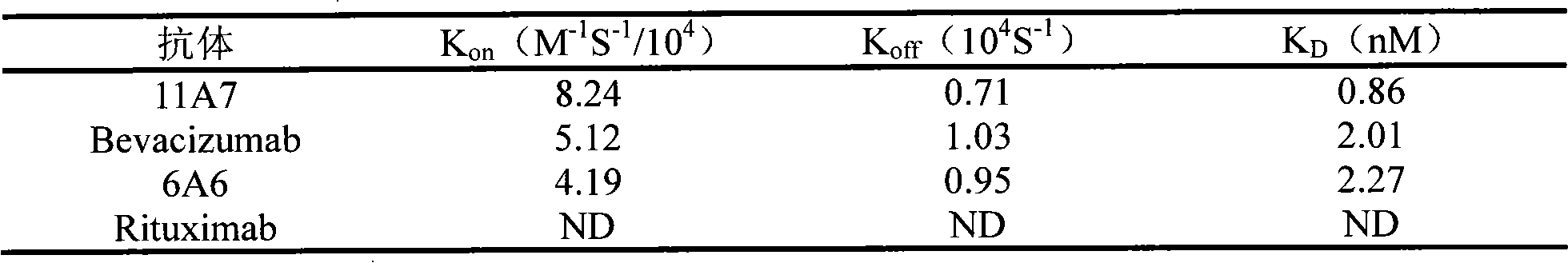 Fully human anti-VEGF (Vascular Endothelial Growth Factor) monoclonal antibody and preparation method as well as application thereof