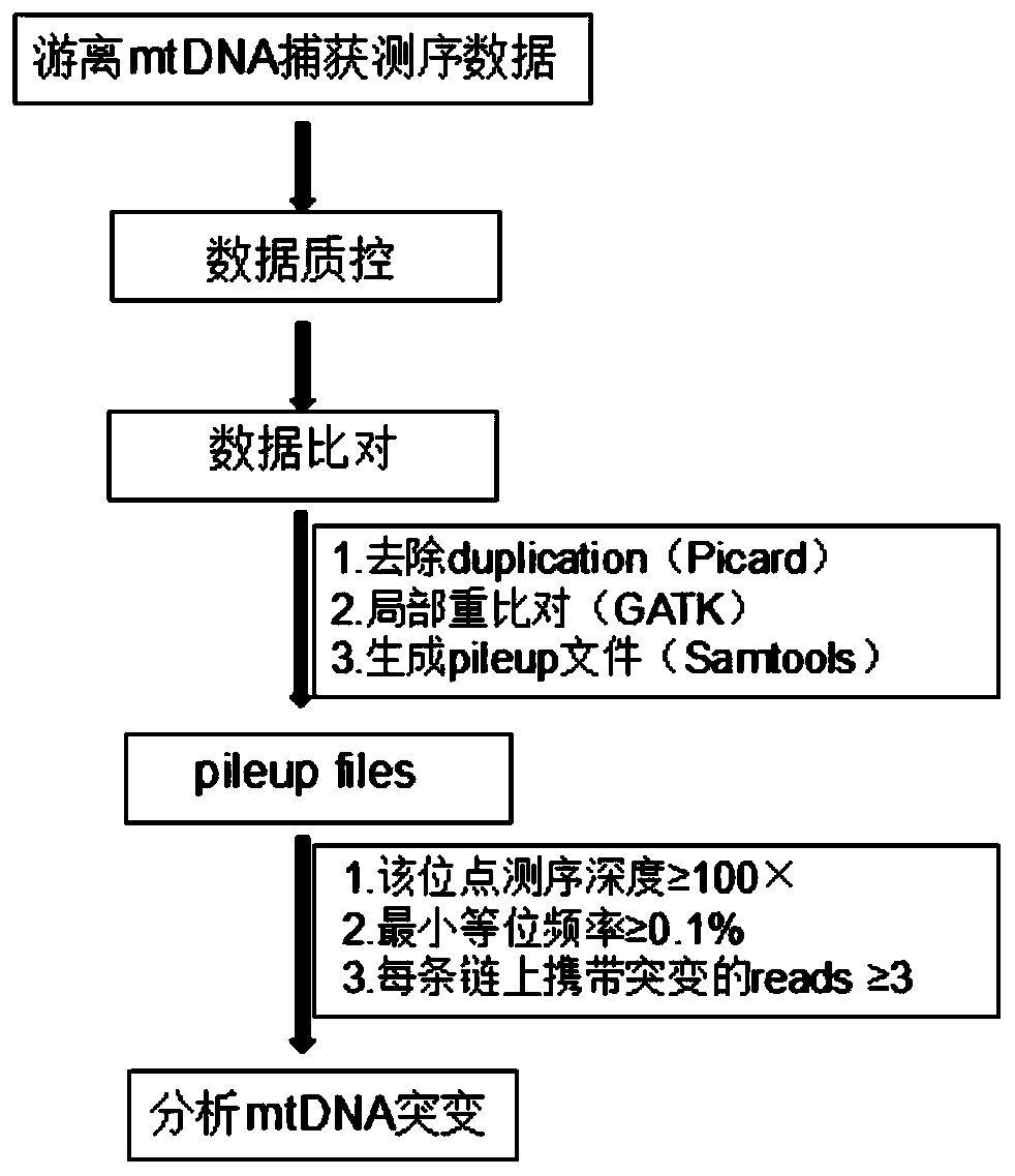 Free mitochondrial DNA mutation detection technique based on bibasic sequencing technique