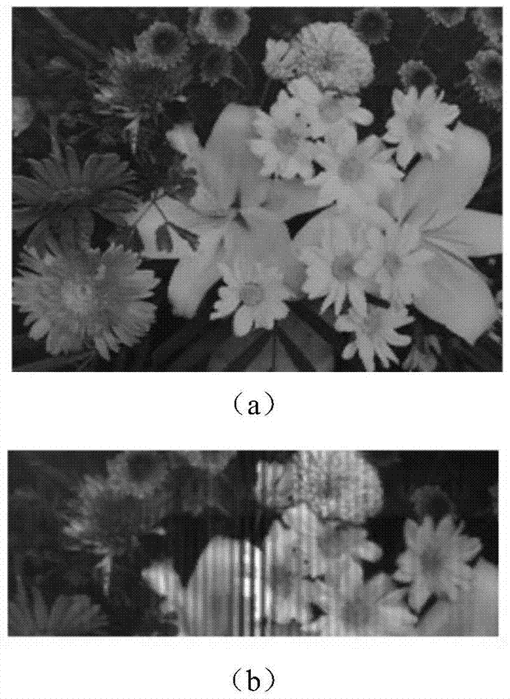 Dual-channel high-throughput interference imaging spectroscopy device and method