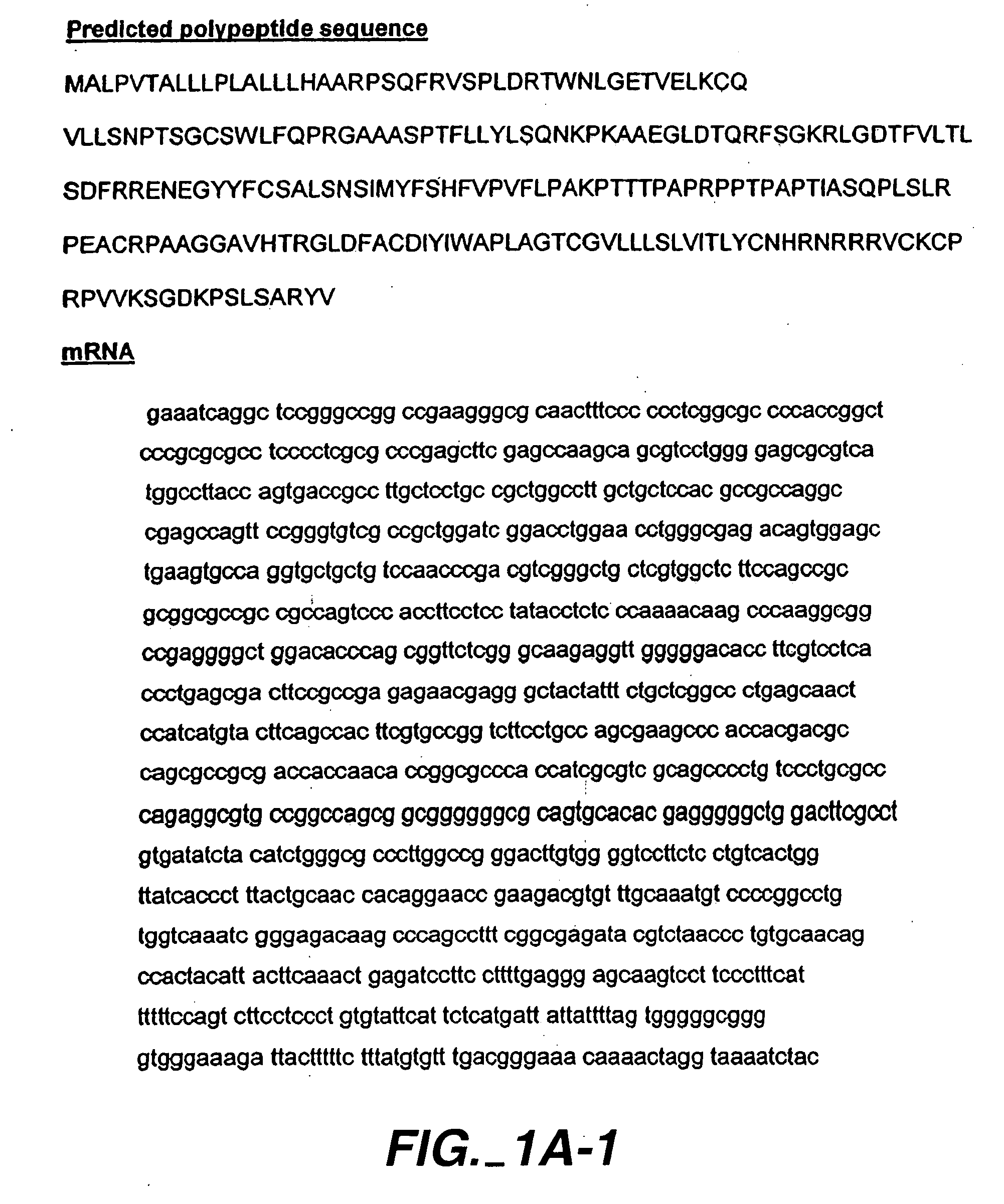 Specific inhibition of allorejection