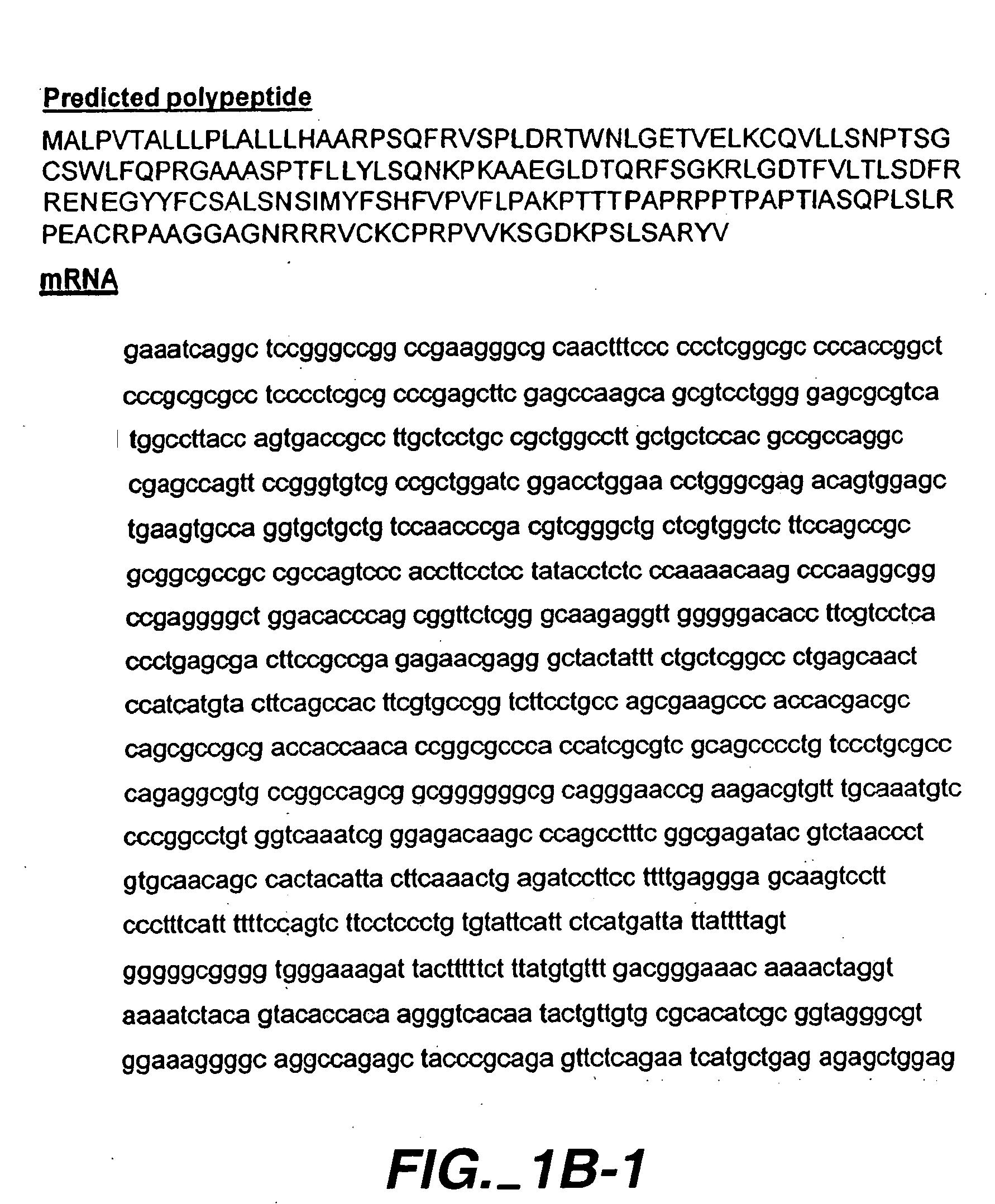 Specific inhibition of allorejection