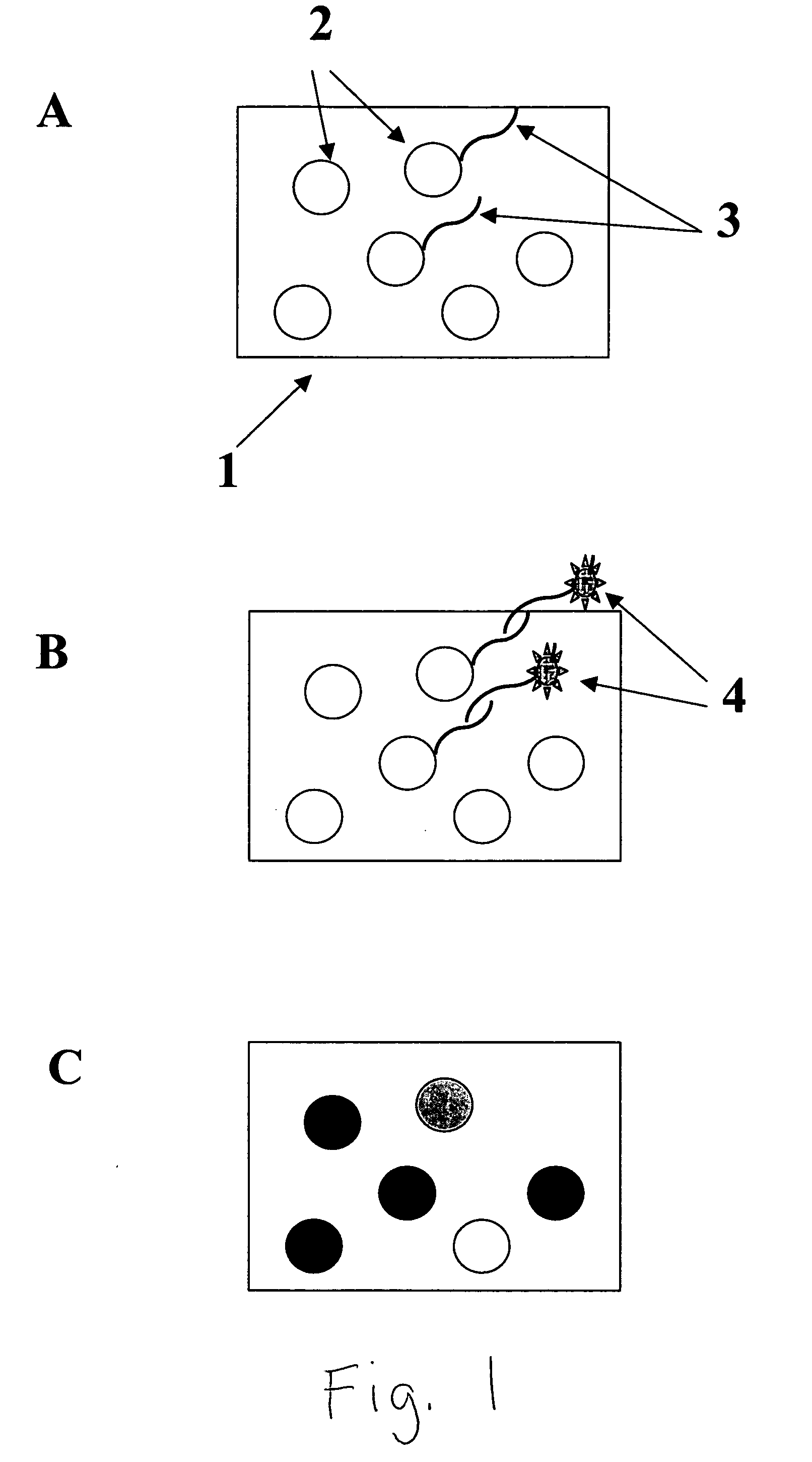 Colorable microspheres for DNA and protein microarray