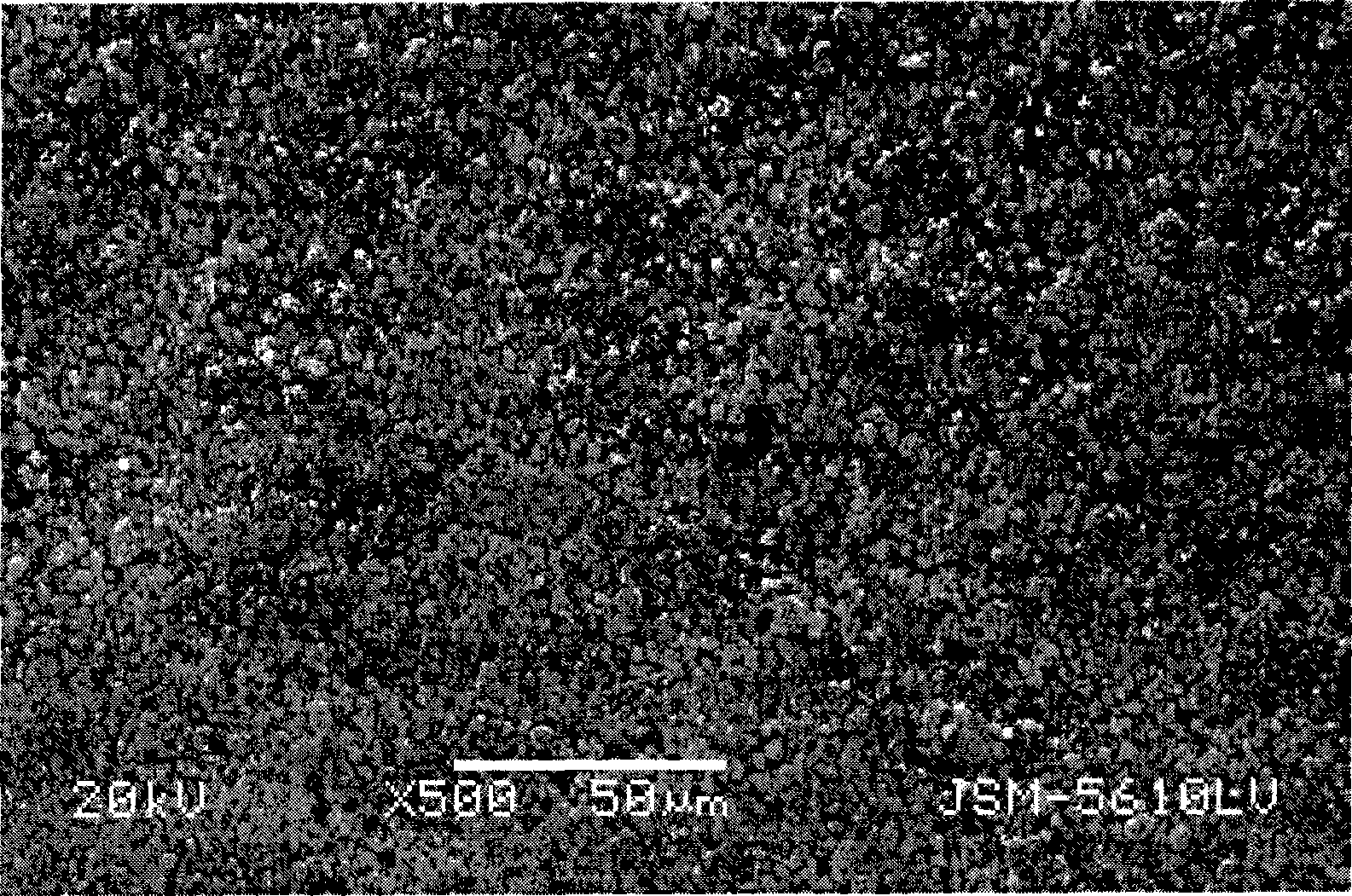 Anode plate for lithium ionic cell and preparation thereof