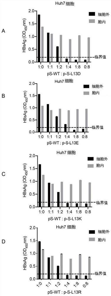 Hepatitis B virus surface protein mutant and application thereof in resisting hepatitis B virus