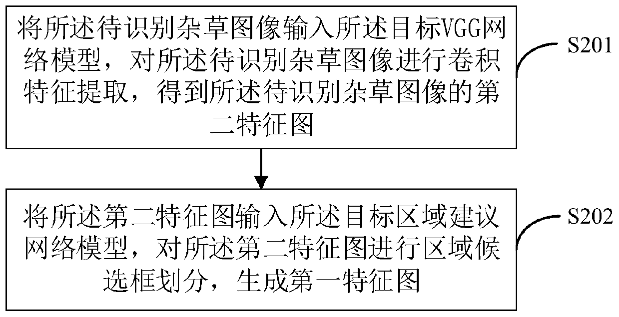 Weed recognition method and device and terminal equipment