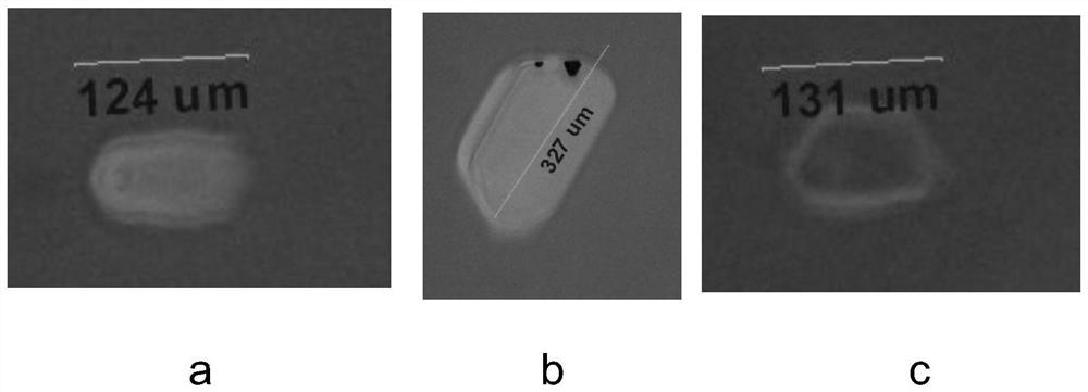 Silicon carbide single crystal ingot, substrate and preparation method thereof