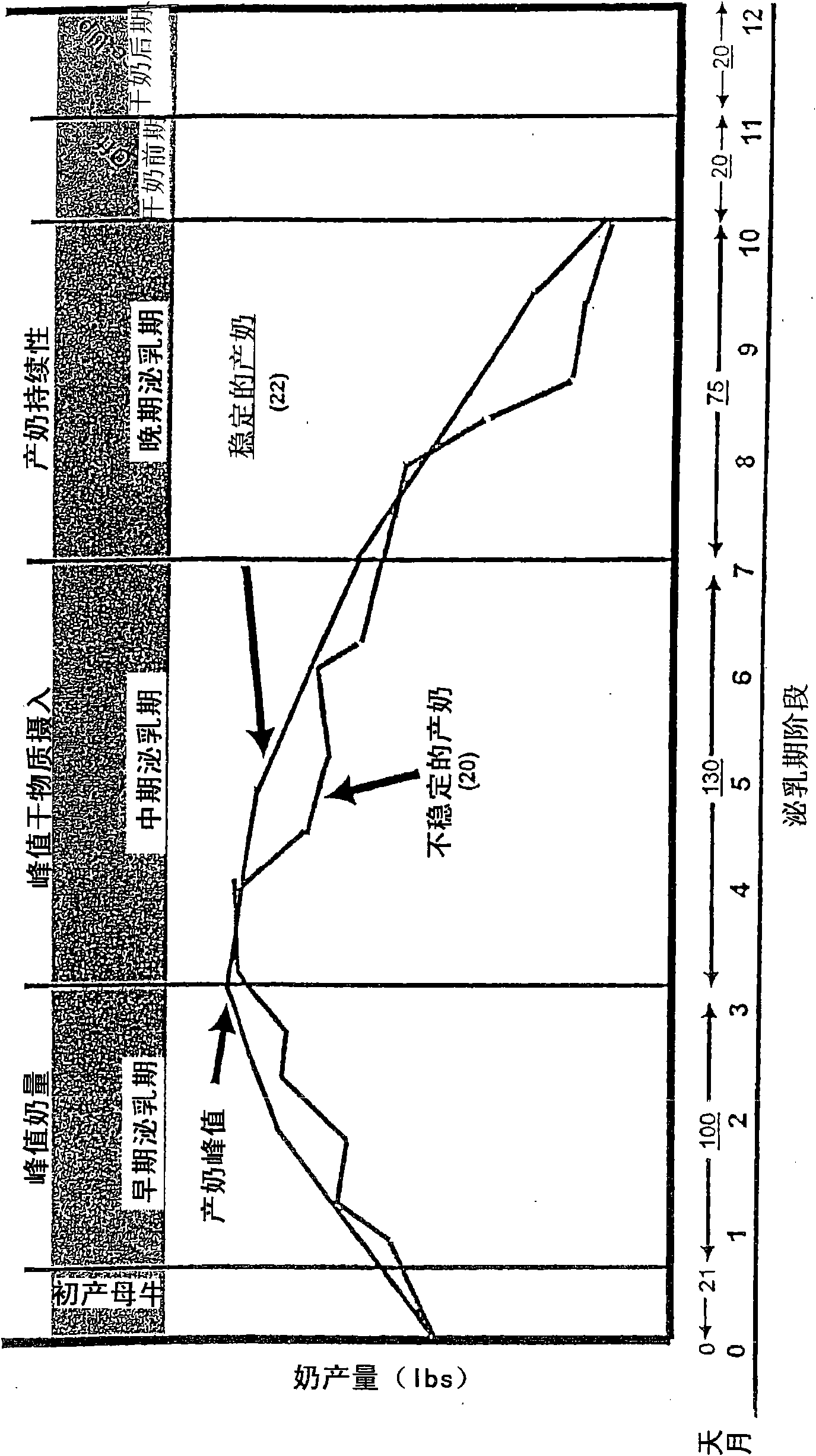 Method and feed for enhancing ruminant animal nutrition