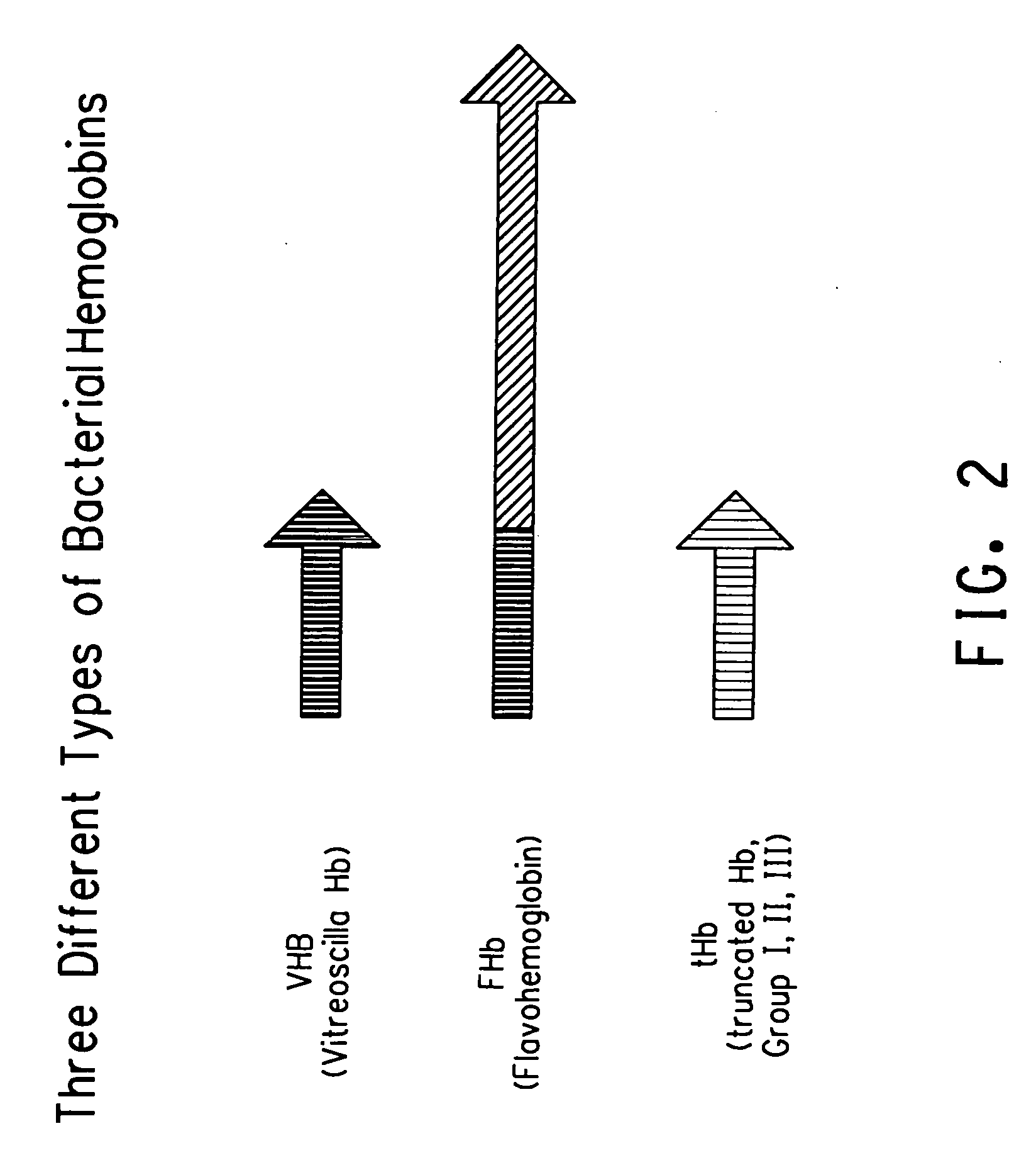 Bacterial hemoglobin genes and their use to increase carotenoid production