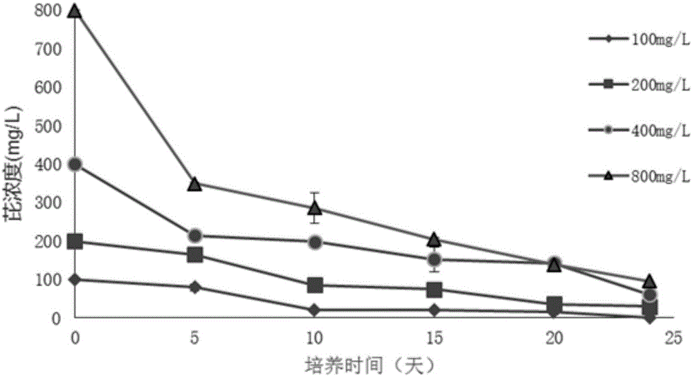 Pantoea sp. for degrading polycyclic aromatic hydrocarbon organic pollutants