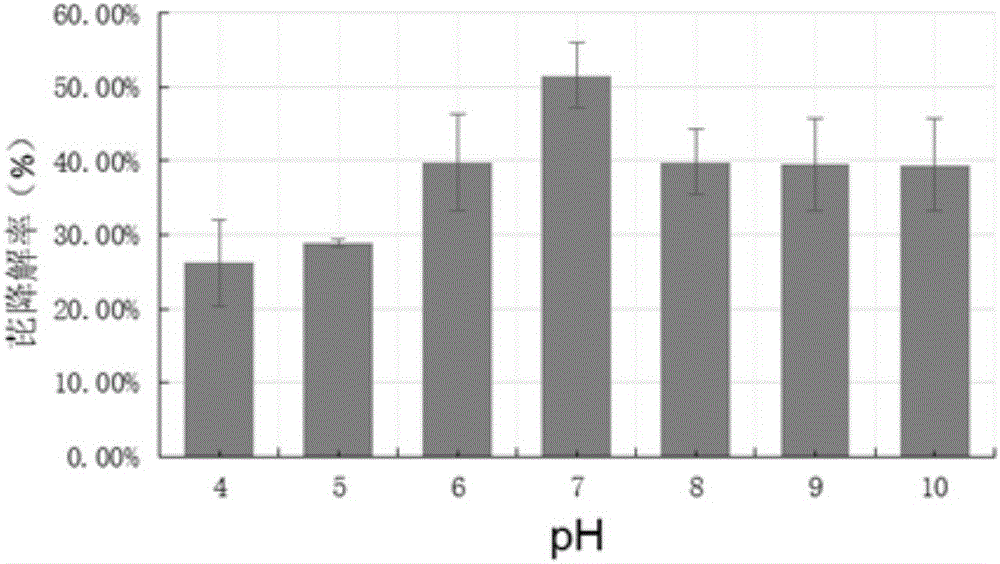 Pantoea sp. for degrading polycyclic aromatic hydrocarbon organic pollutants