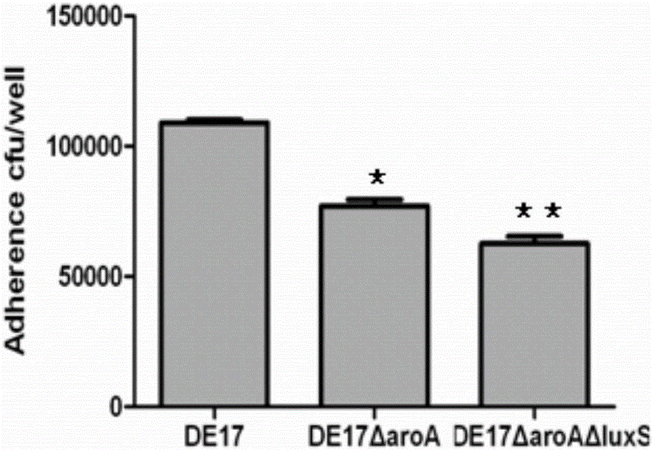 Avian pathogenic escherichia coli strain and application thereof in vaccine preparation