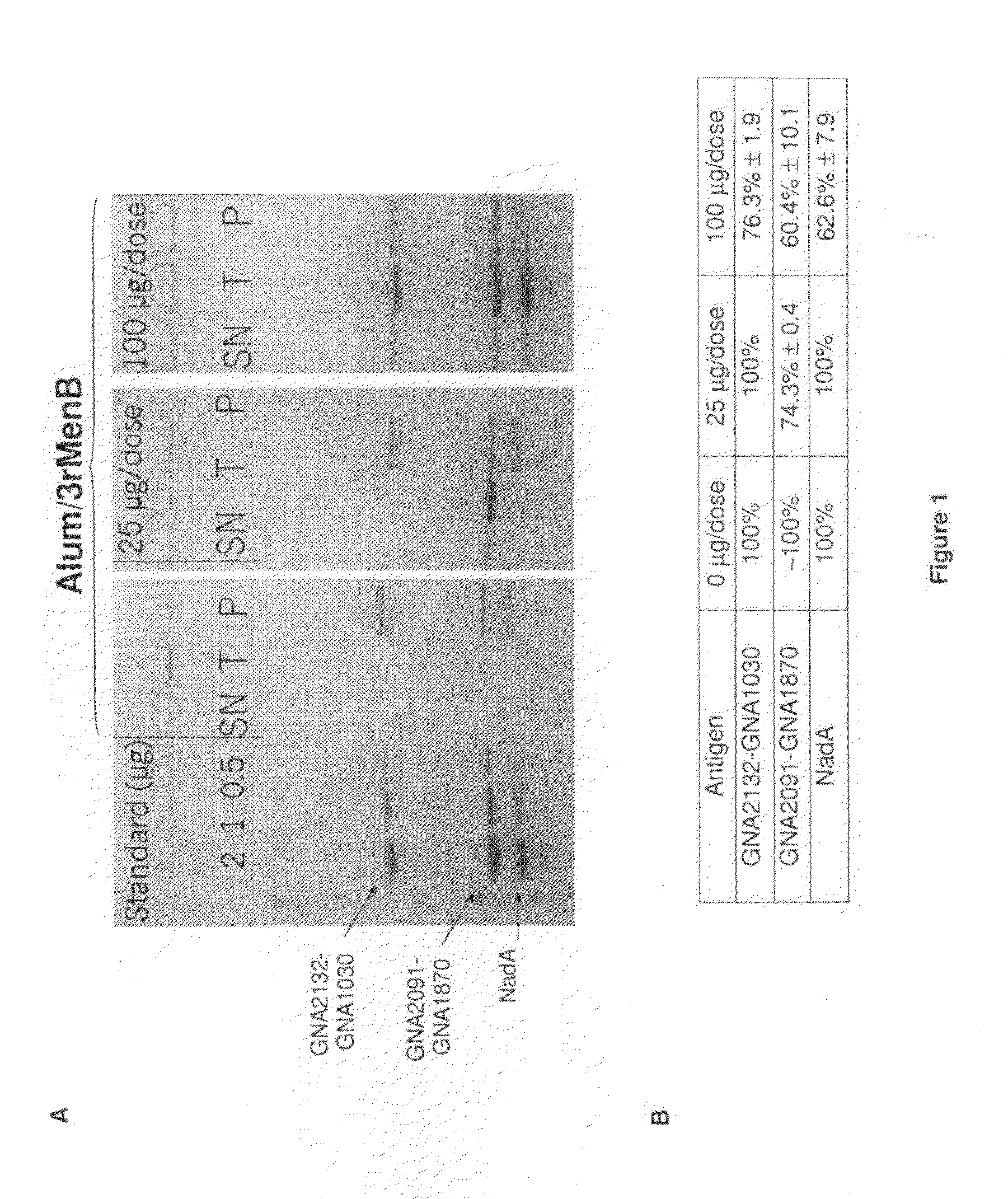 Homogenous suspension of immunopotentiating compounds and uses thereof