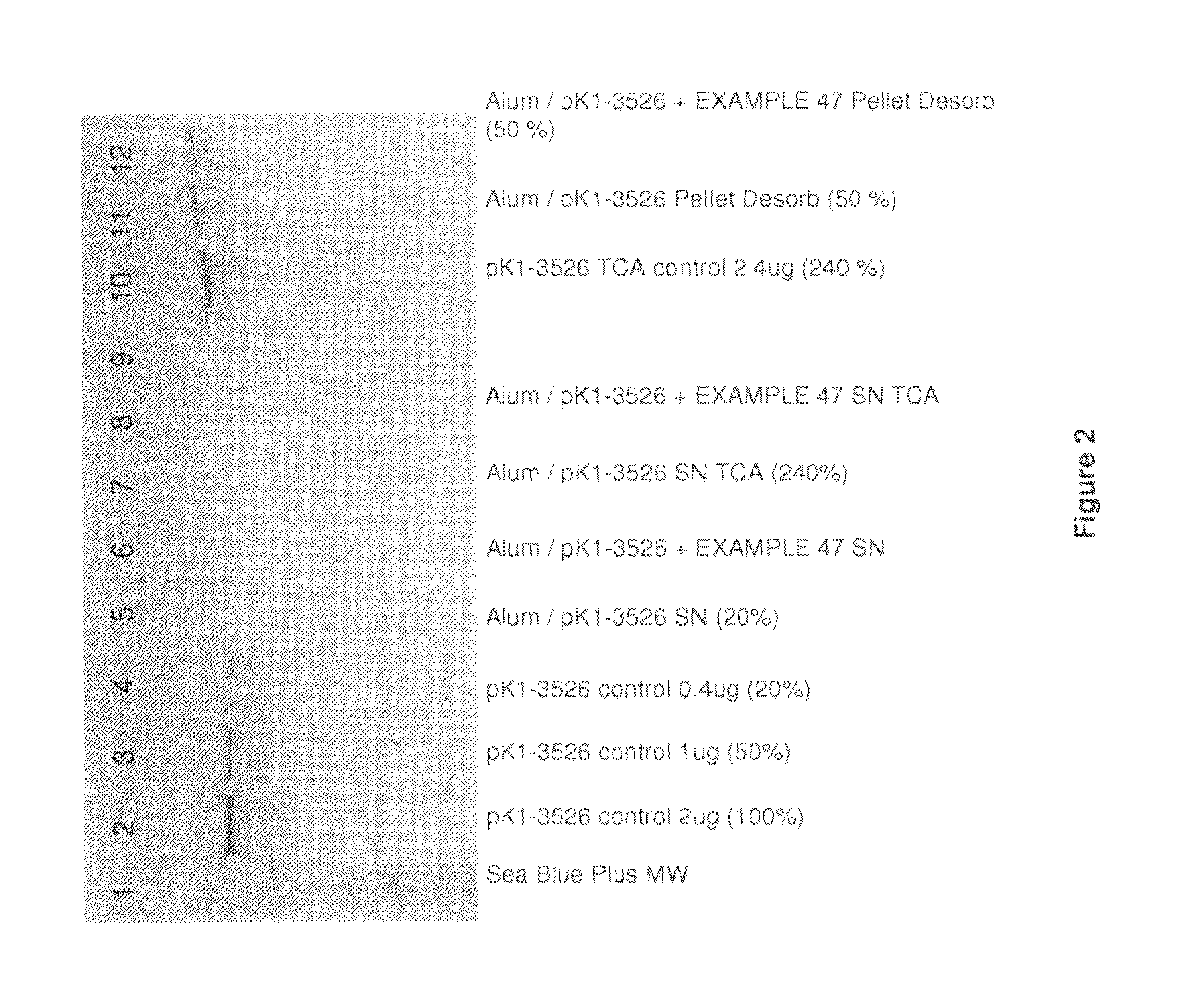 Homogenous suspension of immunopotentiating compounds and uses thereof