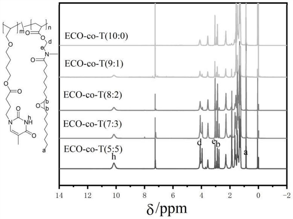 Epoxidized camellia oil monomer, monomer-based polymer, pressure-sensitive adhesive, and preparation method thereof