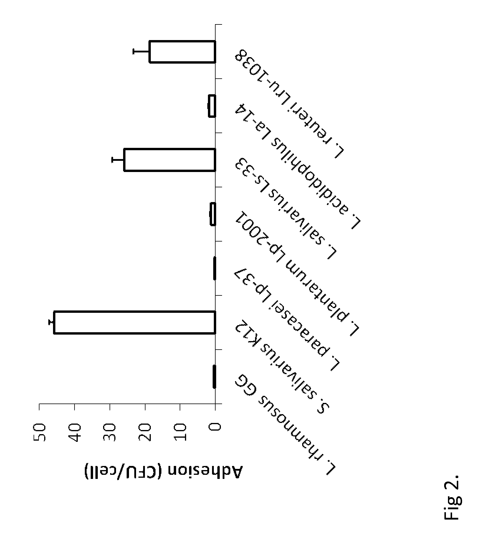 Probiotic composition