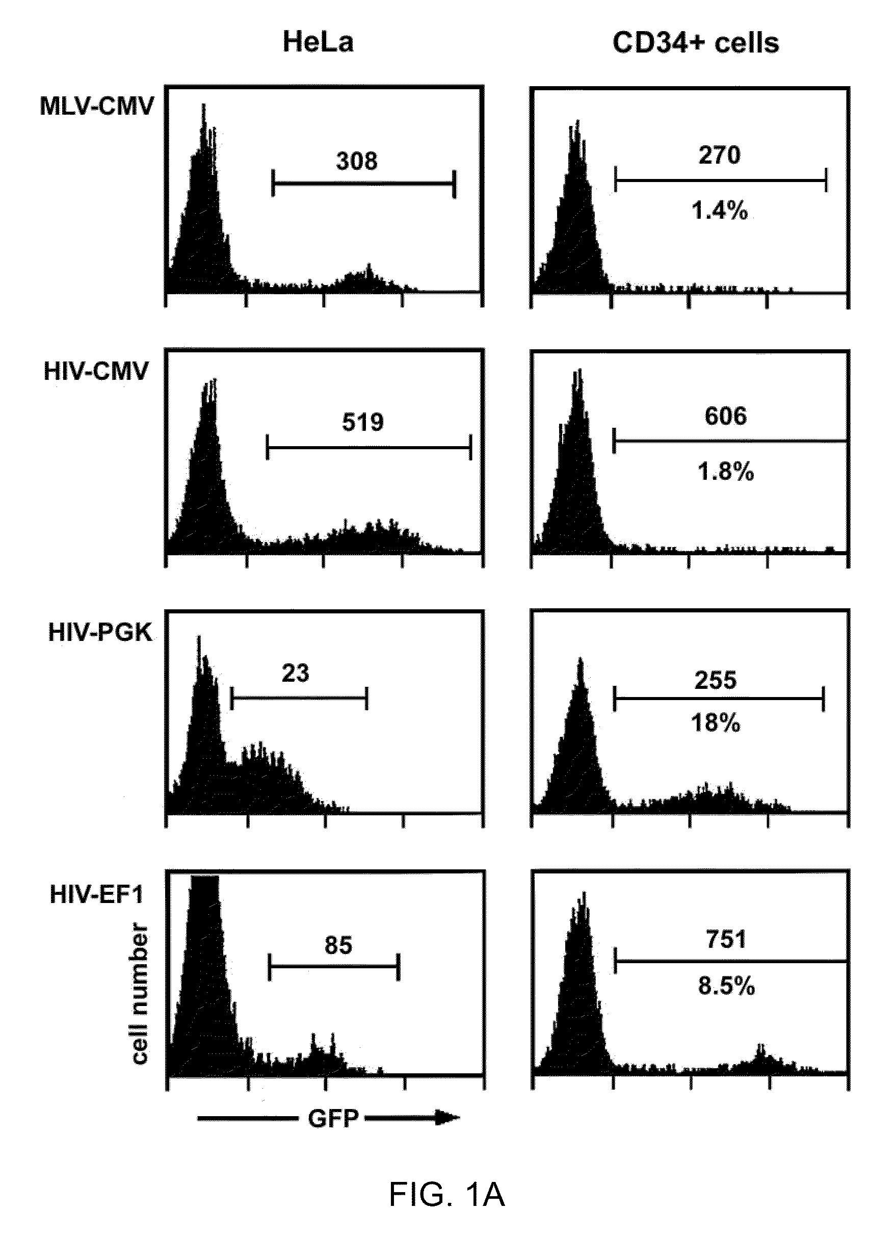 Methods and compositions relating to improved lentiviral vectors and their applications