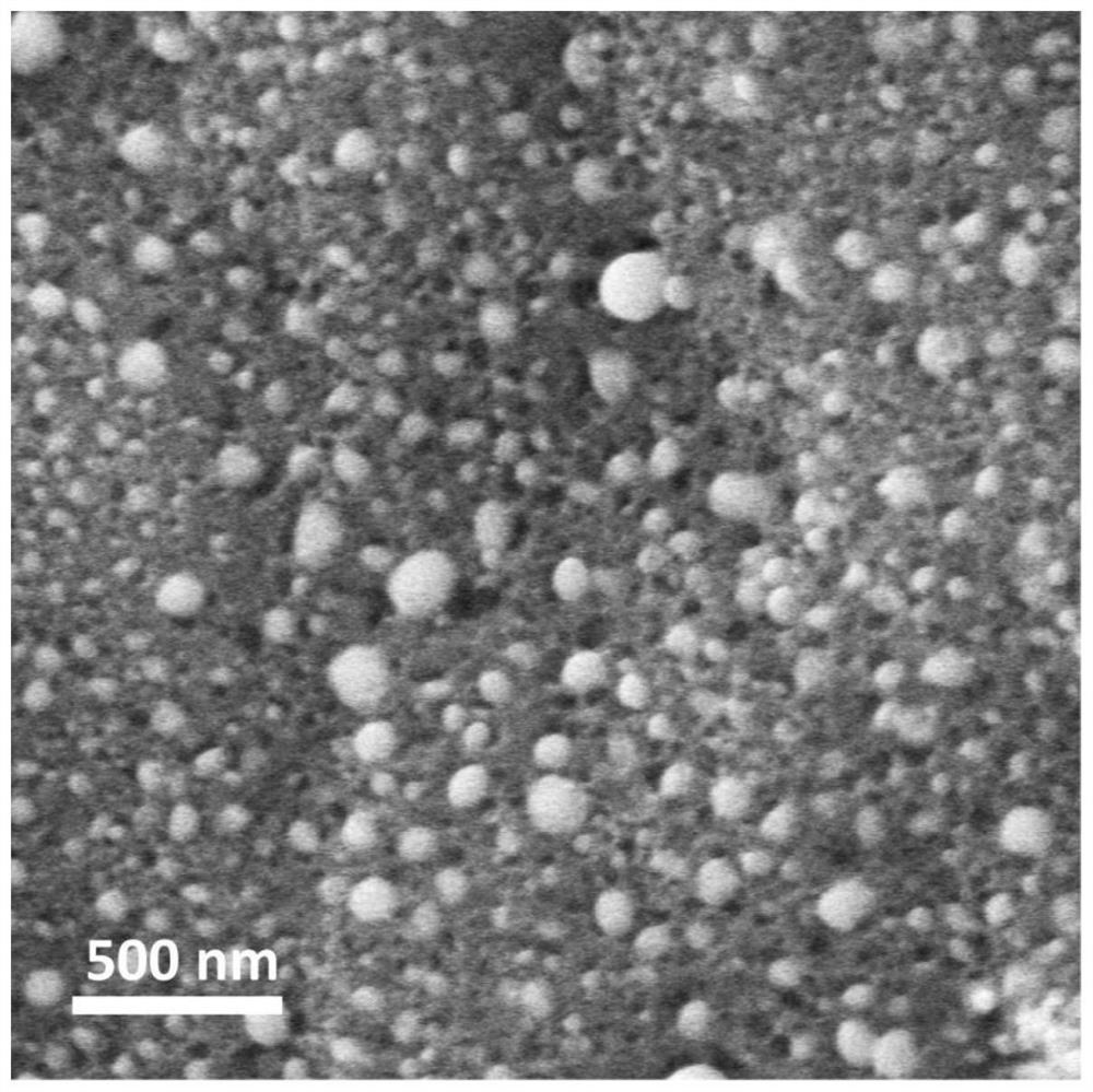 Lithium-sulfur battery positive electrode composite material based on biomass carbon source as well as preparation method and application of lithium-sulfur battery positive electrode composite material