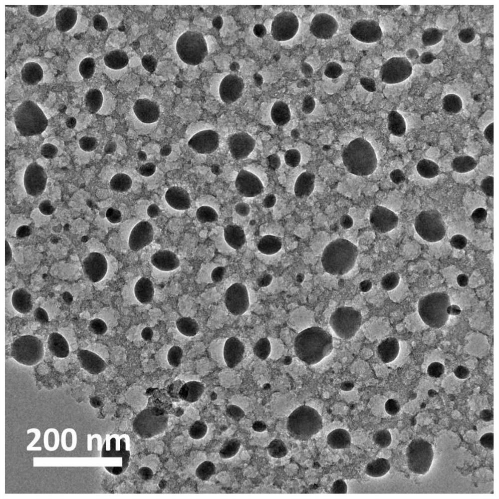 Lithium-sulfur battery positive electrode composite material based on biomass carbon source as well as preparation method and application of lithium-sulfur battery positive electrode composite material