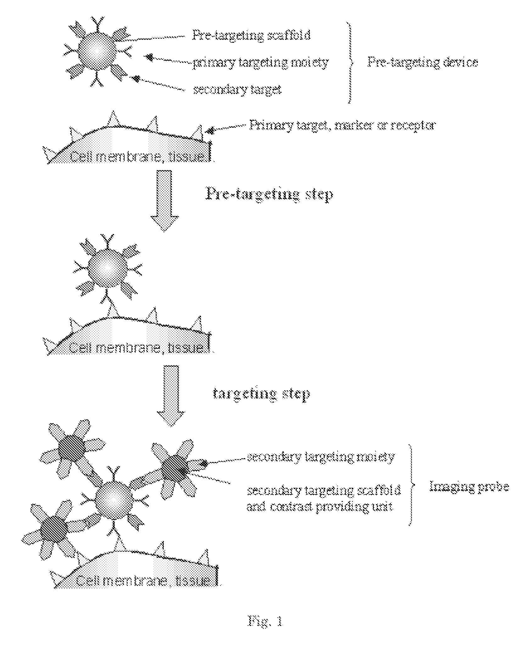 Pretargeting kit, method and agents used therein