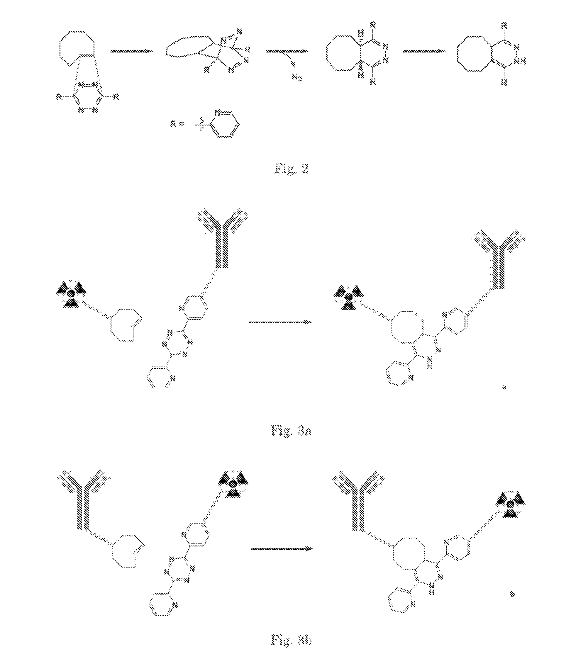 Pretargeting kit, method and agents used therein