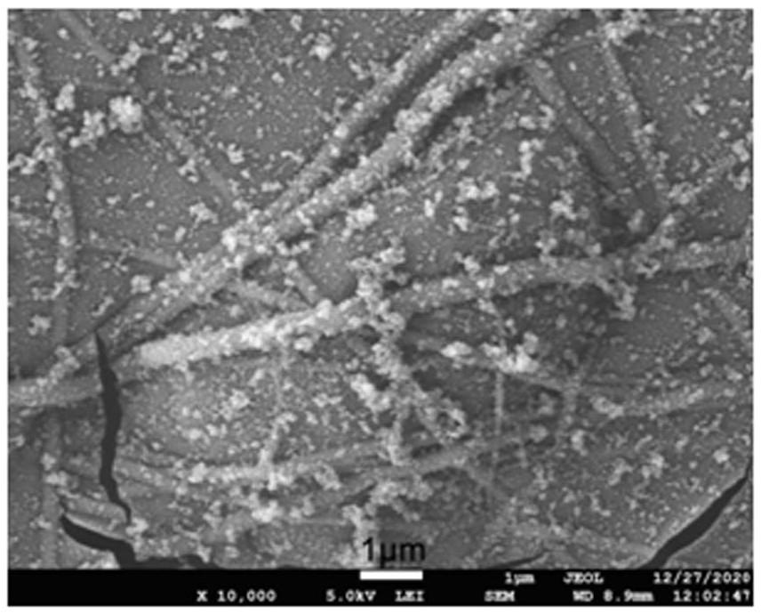 Preparation method of polydopamine/polylactic acid/nano-copper composite fiber membrane with photo-thermal/copper synergistic antibacterial function