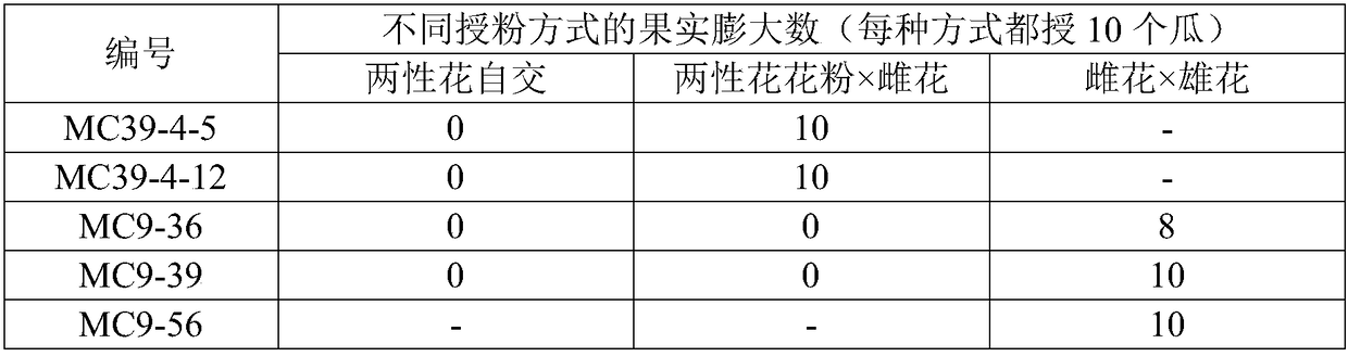 Rapid identification and seed stocking method for gynoecious plant of bitter gourd